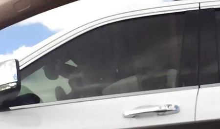 Pikaper melepas seorang pirang muda, menceraikannya untuk seks jav terbaru mp4 dan bercinta