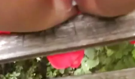Singa betina muda melepas orang sex bokep mp4 itu dan menidurinya