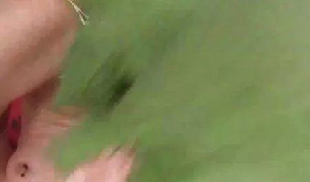 Lesbian bokep pemerkosaan mp4 menjilati kaki pus di stoking