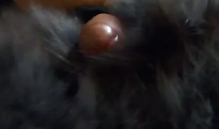 Jalang keren, cuka kering, crustacea. Menempatkan kontol keluar dari vaginanya, paman meletakkan pelacur di mulutnya dan kemudian cum video bokep mp4 gratis di vaginanya